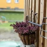 Garden Next To Telliskivi & Old Town Apartment *