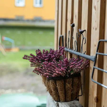 Garden Next To Telliskivi & Old Town Apartament *